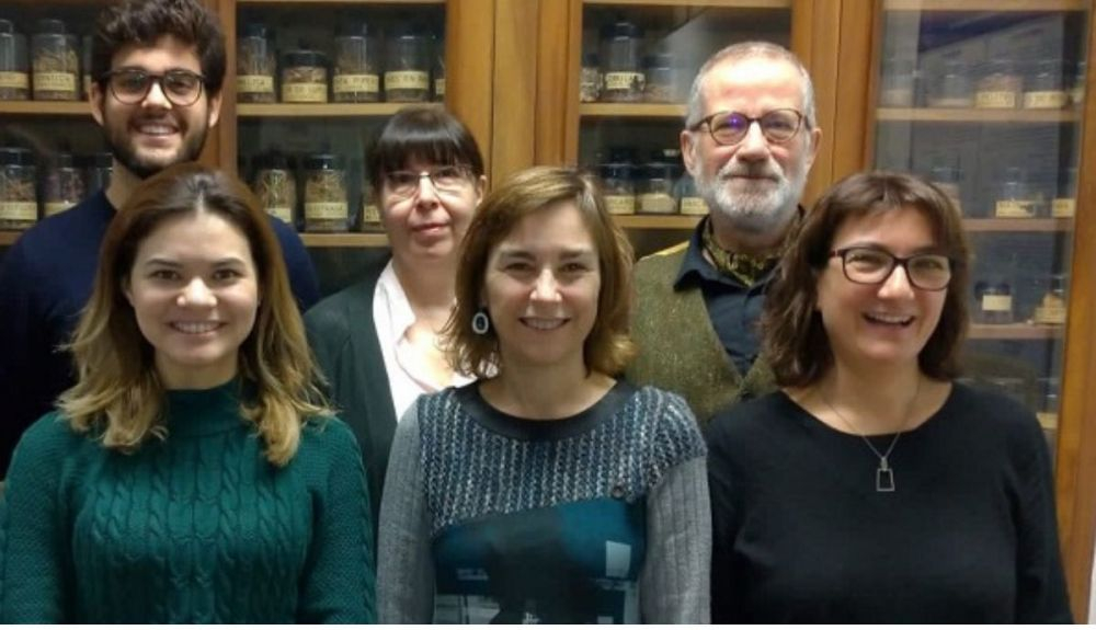 Los autores de esta investigación sobre la fructosa.