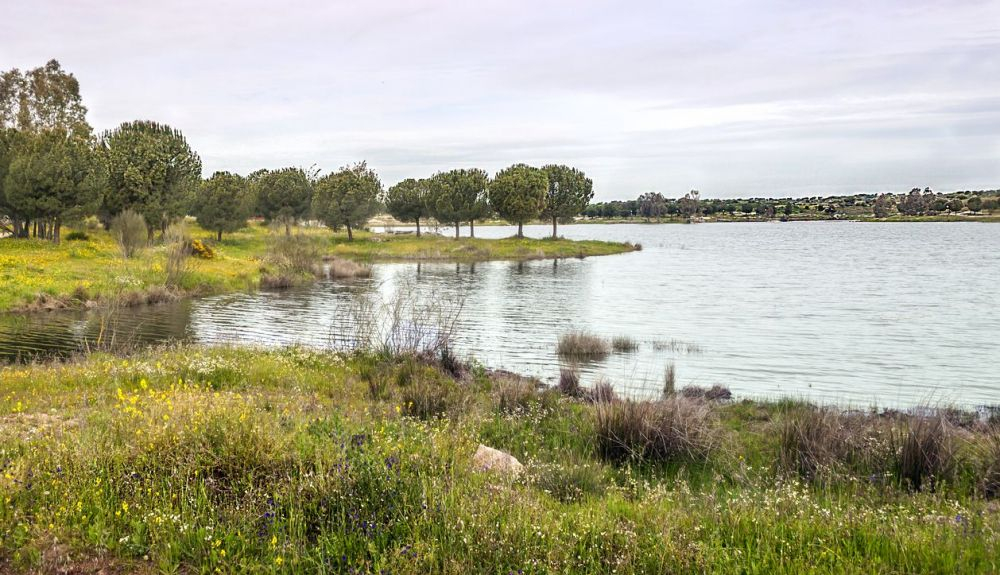 El 30% de los acuíferos que presenta mal estado químico se da en la mayor parte de las masas en las cuencas del Guadiana. El 30% de los acuíferos que presenta mal estado químico se da en la mayor parte de las masas en las cuencas del Guadiana.