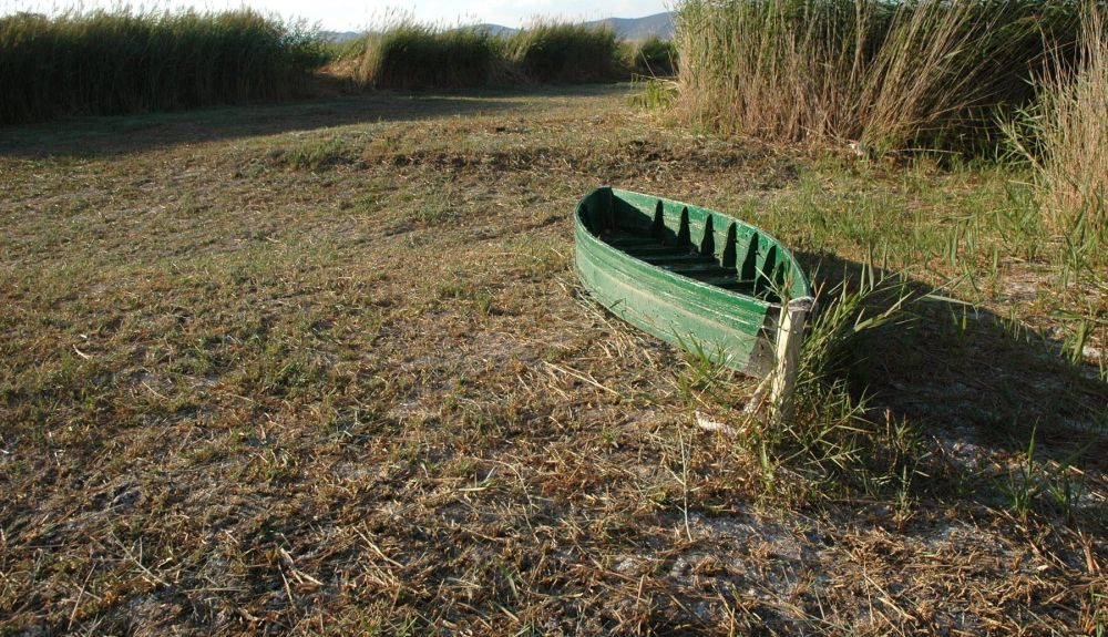 Las extracciones para regadío han tenido como consecuencia la sequía en Las Tablas de Daimiel. Las extracciones para regadío han tenido como consecuencia la sequía en Las Tablas de Daimiel.