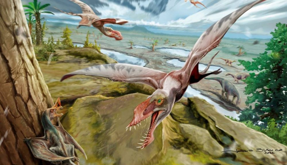 El descubrimiento inicial que ayudaría a enfocar los orígenes de los pterosaurios se realizó hace más de un siglo.