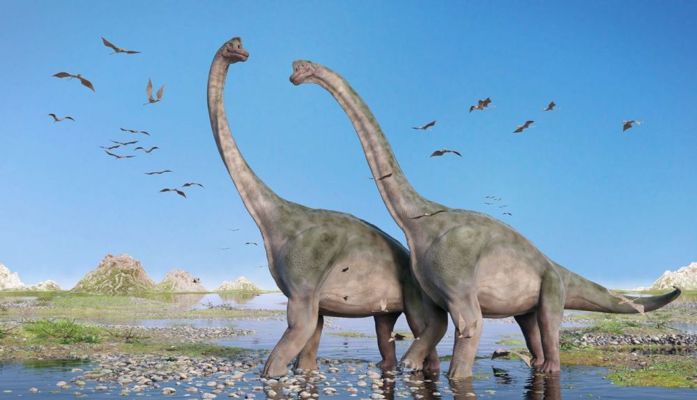 Par de Brachiosaurus altithorax y una bandada de pterosaurios en un pintoresco paisaje jurásico tardío