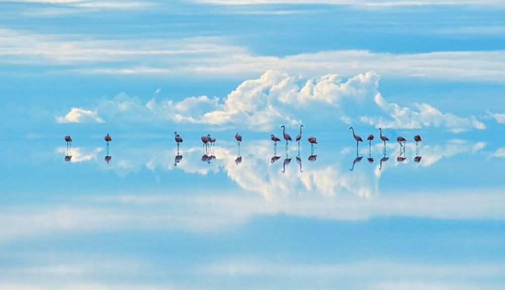 La fotografía de Junji Takasago fue realizada en el Salar de Uyuni. La fotografía de Junji Takasago fue realizada en el Salar de Uyuni.