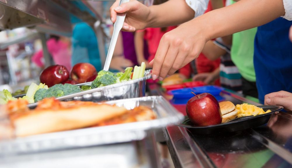 Dos ciudades españolas han incorproado criterios ecológicos en la contratación del servicio de comedor escolar. Dos ciudades españolas han incorproado criterios ecológicos en la contratación del servicio de comedor escolar.