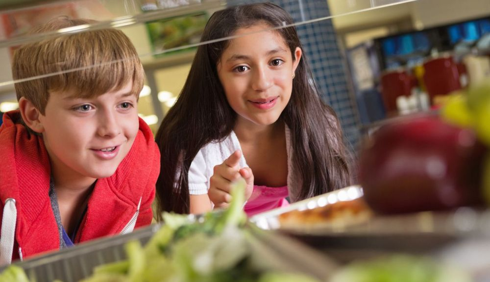 Formar a los alumnos sobre la producción de los alimentos es fundamental para promover una población más sana y un entorno más sostenible. Formar a los alumnos sobre la producción de los alimentos es fundamental para promover una población más sana y un entorno más sostenible.