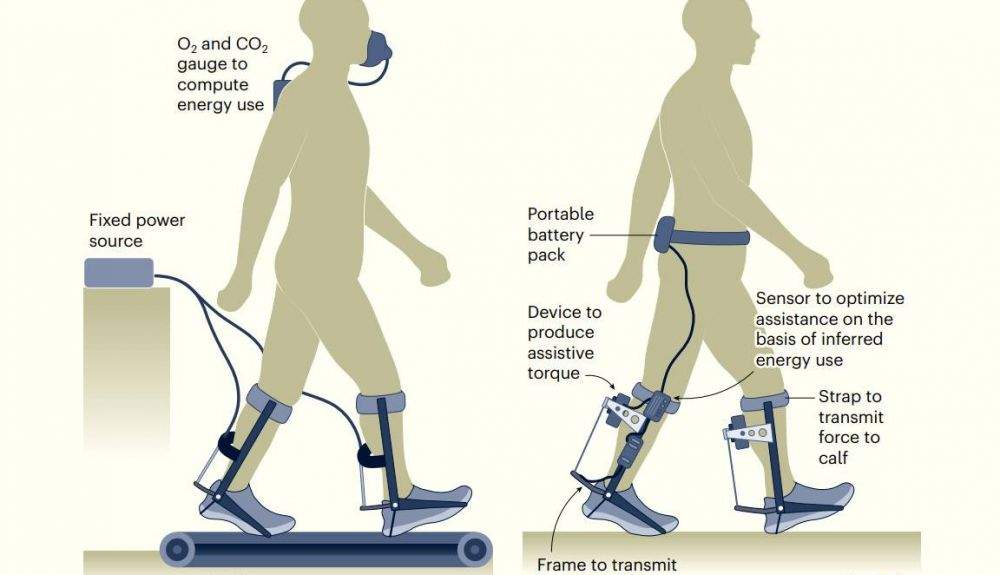 Entrenamiento de un exoesqueleto de piernas dentro del laboratorio (izquierda) y fuera, en el mundo real (derecha).