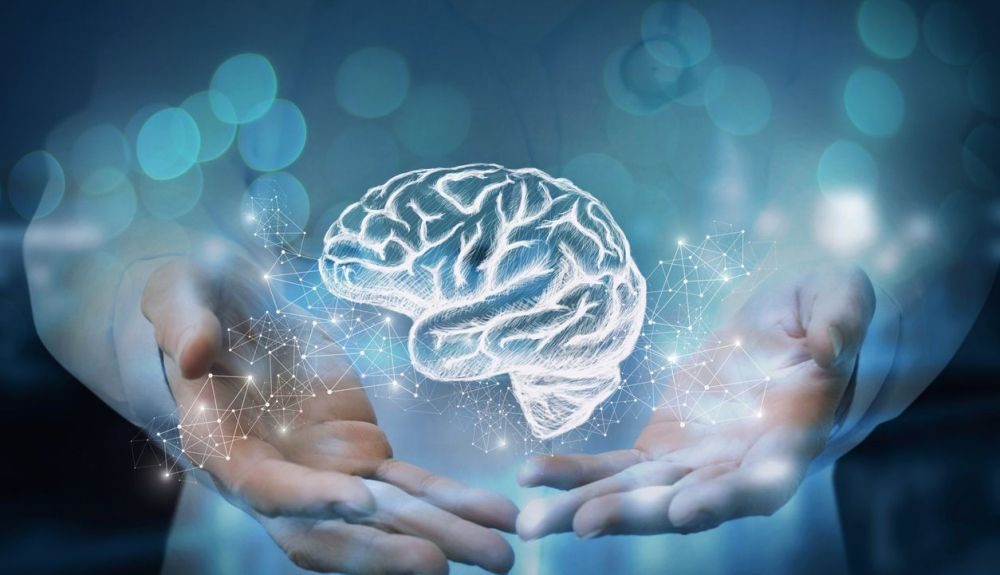 Saber cómo se activa de forma natural en el cerebro TLX ayudará a desarrollar fármacos capaces de estimular la neurogénesis. Saber cómo se activa de forma natural en el cerebro TLX ayudará a desarrollar fármacos capaces de estimular la neurogénesis.