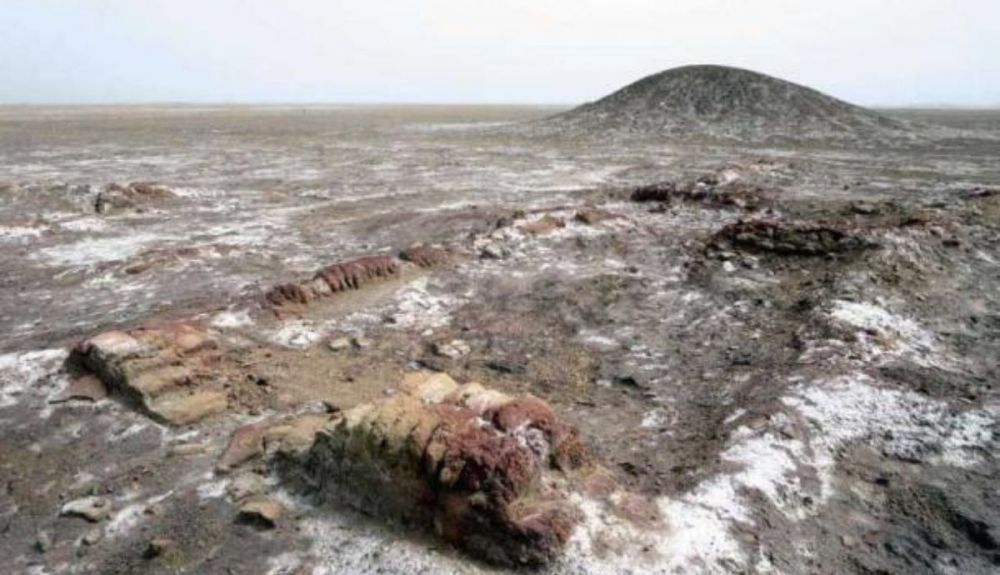 Restos de muros de Lagash.