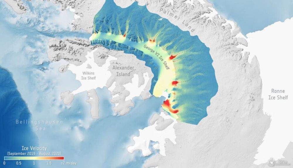 Velocidad del flujo de hielo de la plataforma de hielo George VI. (2)