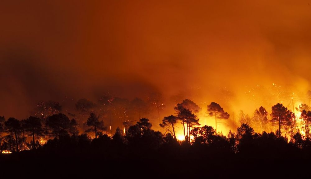 Los incendios forestales también tienen un efecto en la salud a corto plazo.