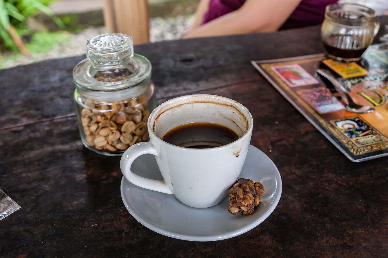 El famoso café Kopi Luwak está considerado uno de los más caros del mundo.
