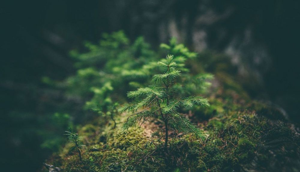 Las emisiones de CO2 deberán reducirse considerablemente antes de 2030. Las emisiones de CO2 deberán reducirse considerablemente antes de 2030.