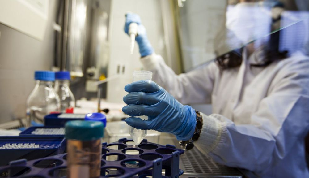 En 1983, los científicos del Instituto Pasteur de Francia identificaron el virus relacionado con el SIDA, al que llamaron Virus asociado a la linfadenopatía (LAV). En 1983, los científicos del Instituto Pasteur de Francia identificaron el virus relacionado con el SIDA, al que llamaron Virus asociado a la linfadenopatía (LAV).
