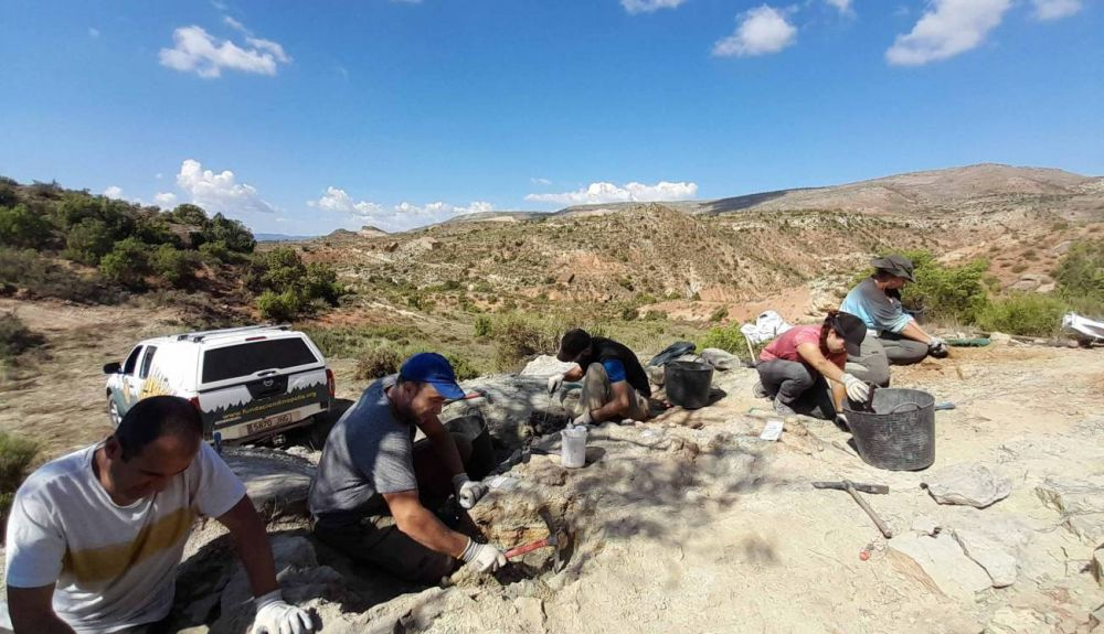 Excavaciones paleontológicas en el yacimiento El Carrillejo de Riodeva (Teruel). Excavaciones paleontológicas en el yacimiento El Carrillejo de Riodeva (Teruel).
