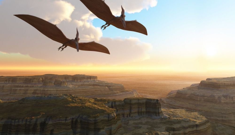 El pterosaurio convivió con los dinosaurios y era un reptil volador. (2) El pterosaurio convivió con los dinosaurios y era un reptil volador. (2)