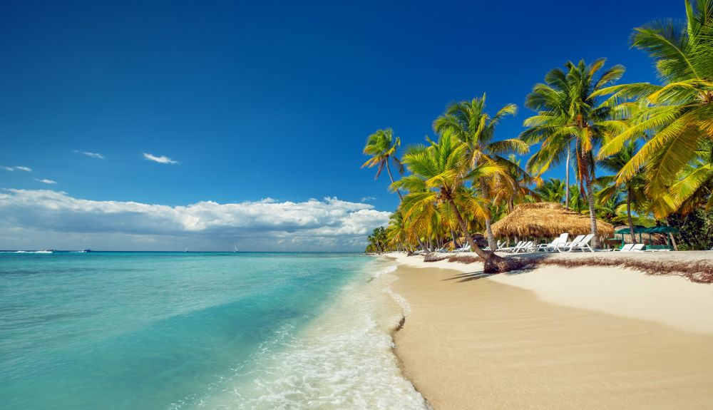 La República Dominicana liderar el ranking de las reservas de los dos últimos meses. La República Dominicana liderar el ranking de las reservas de los dos últimos meses.
