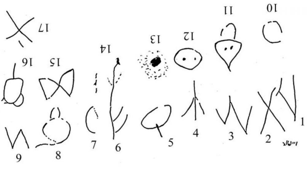 Dibujos encontrado en el peine para piojos. Dibujos encontrado en el peine para piojos.