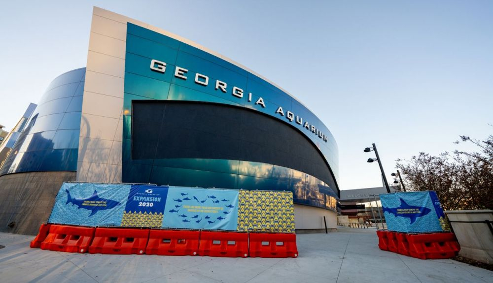 El Acuario de Georgia alberga algunos de los peces más grandes del mundo. El Acuario de Georgia alberga algunos de los peces más grandes del mundo.