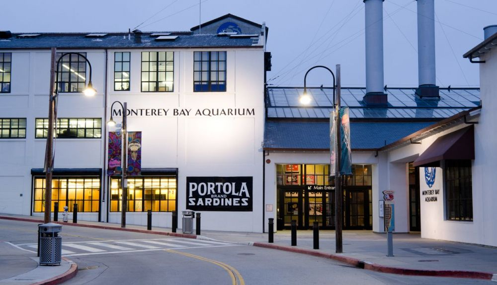 El Acuario de la Bahía de Monterey ofrece unas increíbles vistas de la vida marina local. El Acuario de la Bahía de Monterey ofrece unas increíbles vistas de la vida marina local.