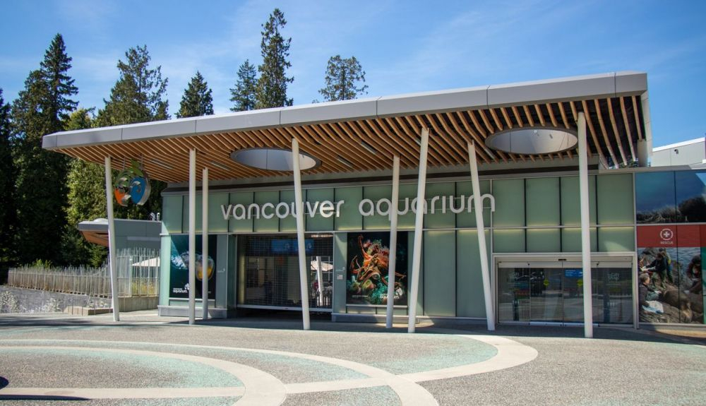 El Acuario de Vancouver es el más grande de Canadá. El Acuario de Vancouver es el más grande de Canadá.