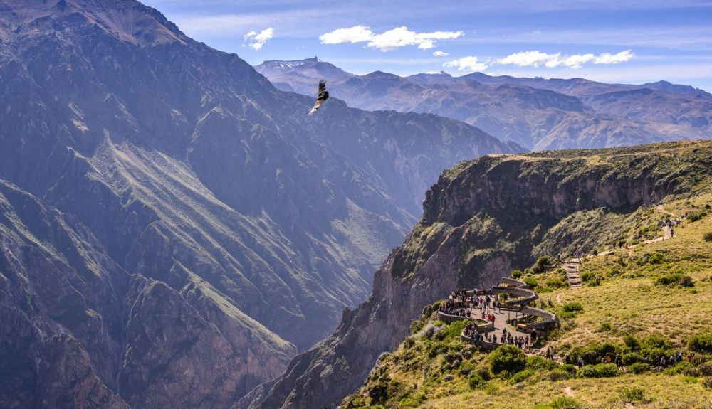 Cóndor sobrevolando el Cañón del Colca en Arequipa. Cóndor sobrevolando el Cañón del Colca en Arequipa.