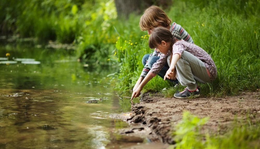 Existe un déficit de contacto con la naturaleza entre los más jóvenes. Existe un déficit de contacto con la naturaleza entre los más jóvenes.