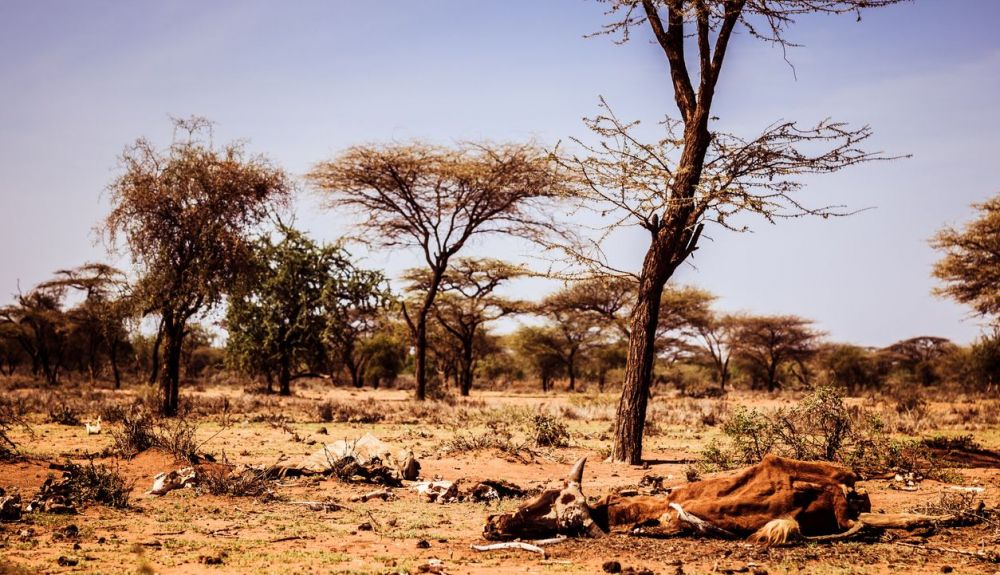 El África subsahariana tuvo la mayor tasa de mortalidad, con 230 fallecimientos por cada 100.000 habitantes. El África subsahariana tuvo la mayor tasa de mortalidad, con 230 fallecimientos por cada 100.000 habitantes.