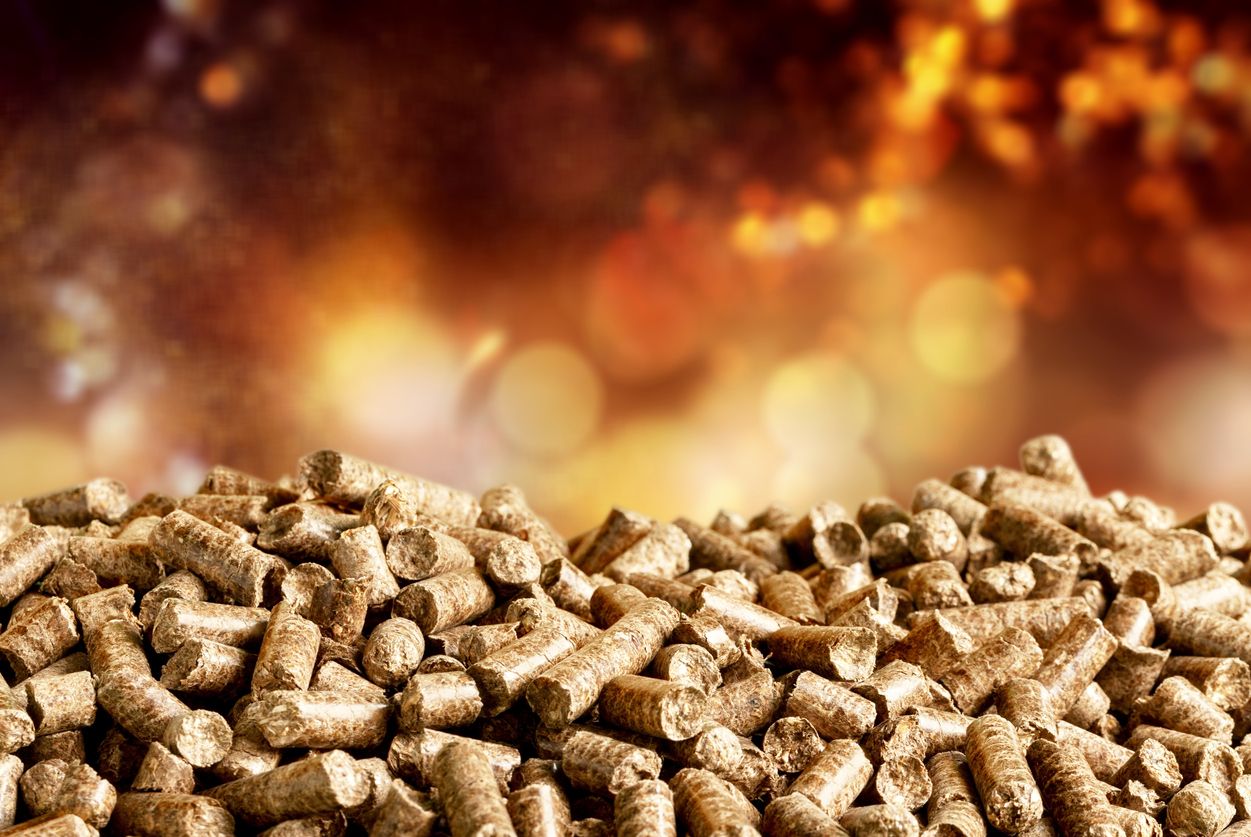 La biomasa es la alternativa renovable mejor posicionada para reemplazar a los combustibles fósiles.