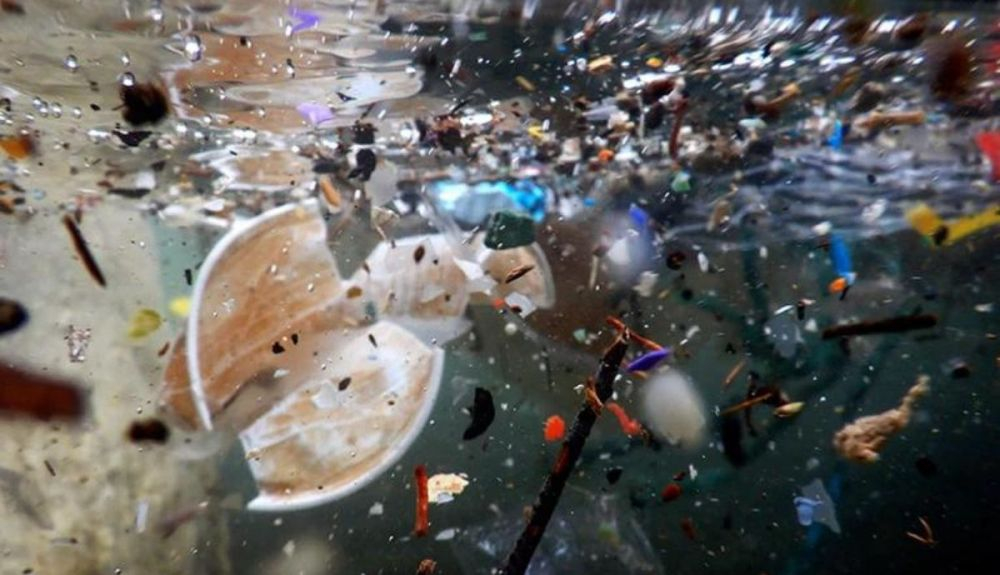 El plástico representa el 85% de toda la basura marina. El plástico representa el 85% de toda la basura marina.