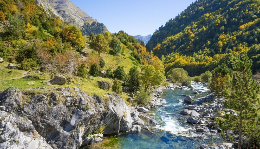 El Parque Nacional de Ordesa es uno de los lugares que se vieron afectados por esta enfermedad. El Parque Nacional de Ordesa es uno de los lugares que se vieron afectados por esta enfermedad.