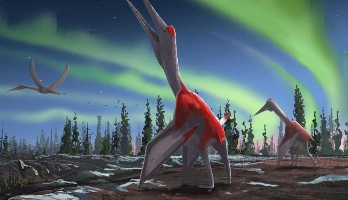 El dragón congelado de Canadá es fundamental para entender cómo evolucionó la vida en el Cretácico.