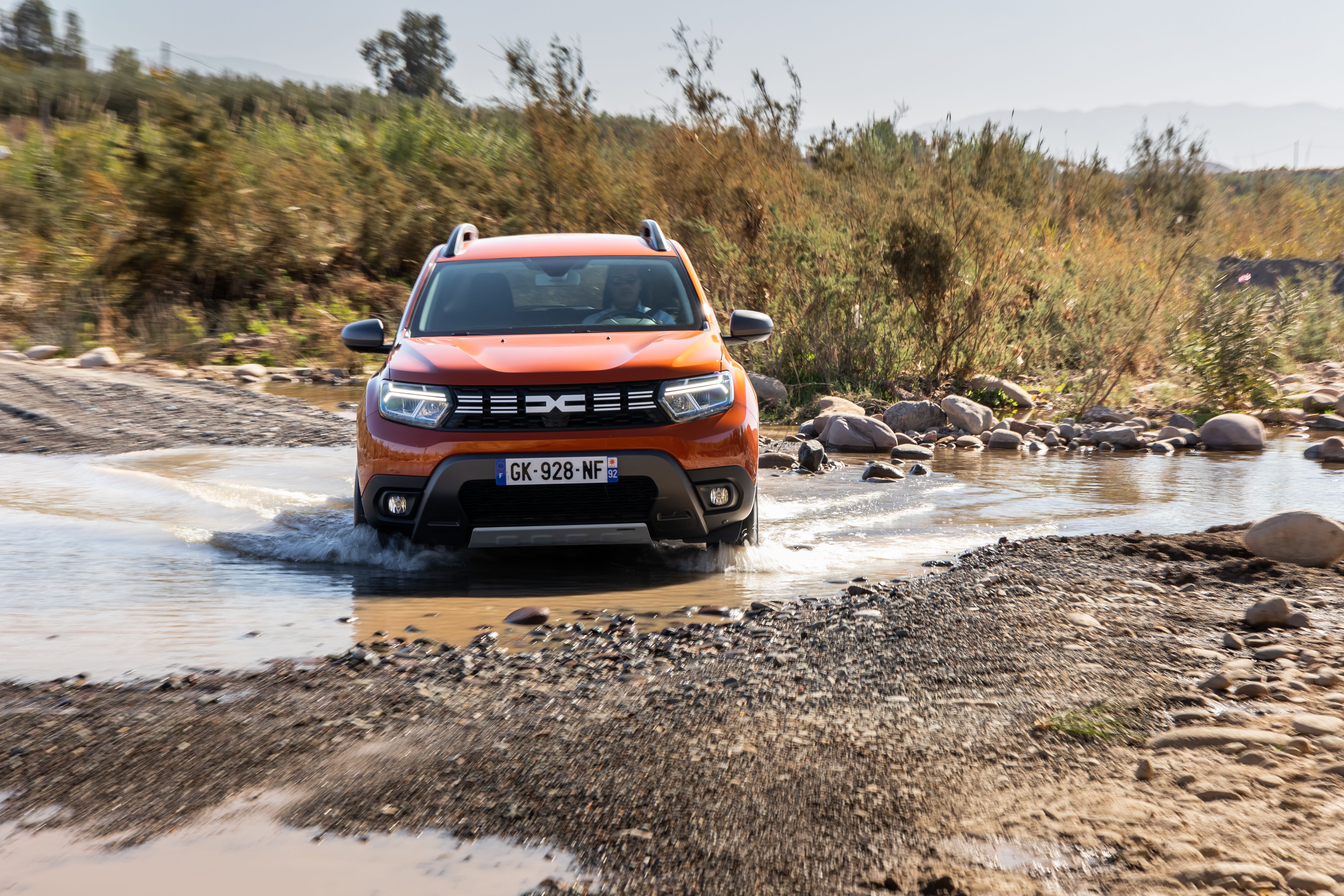 Dacia Duster  (15)