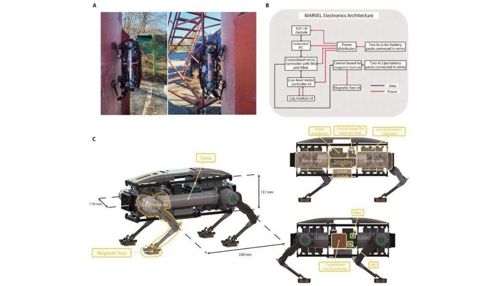 El robot escala sin ataduras y sus pies aprovechan los imanes intercambiables para separarse y sujetarse de las superficies.