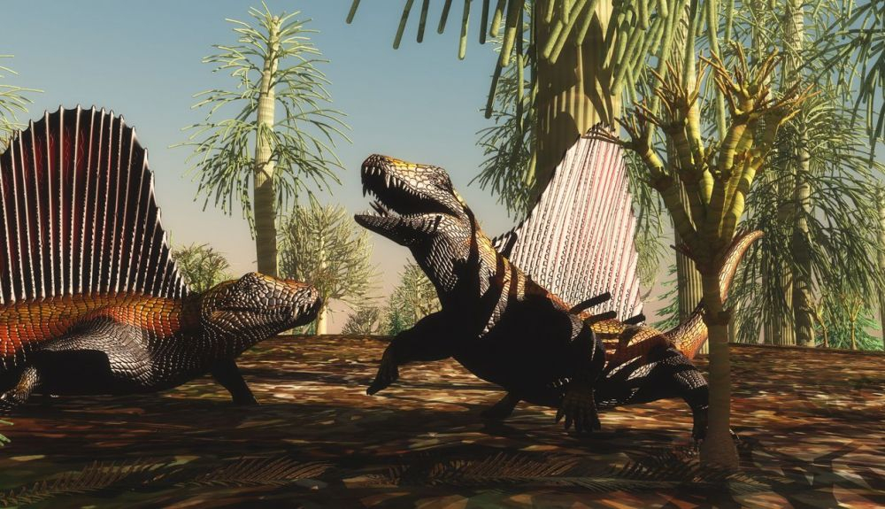 Los últimos reptiles del Pérmico generalmente se movían lentamente y usaban una especie de postura extendida. Los últimos reptiles del Pérmico generalmente se movían lentamente y usaban una especie de postura extendida.