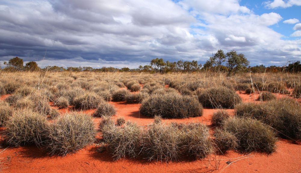 El Gran Desierto de Victoria cubre una gran parte de Australia. El Gran Desierto de Victoria cubre una gran parte de Australia.