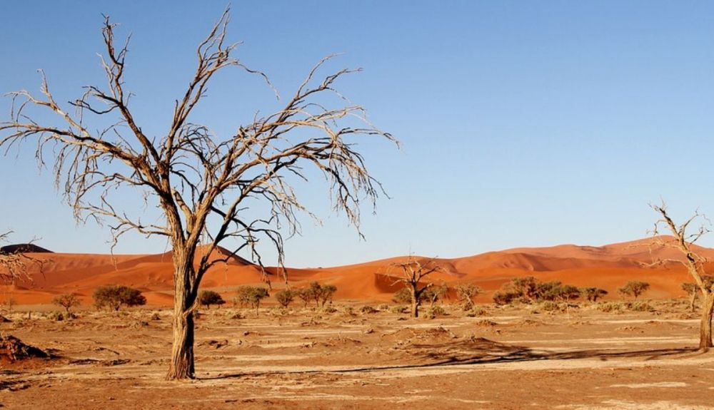 Este desierto tiene un promedio de menos de 500 milímetros de lluvia al año. Este desierto tiene un promedio de menos de 500 milímetros de lluvia al año.
