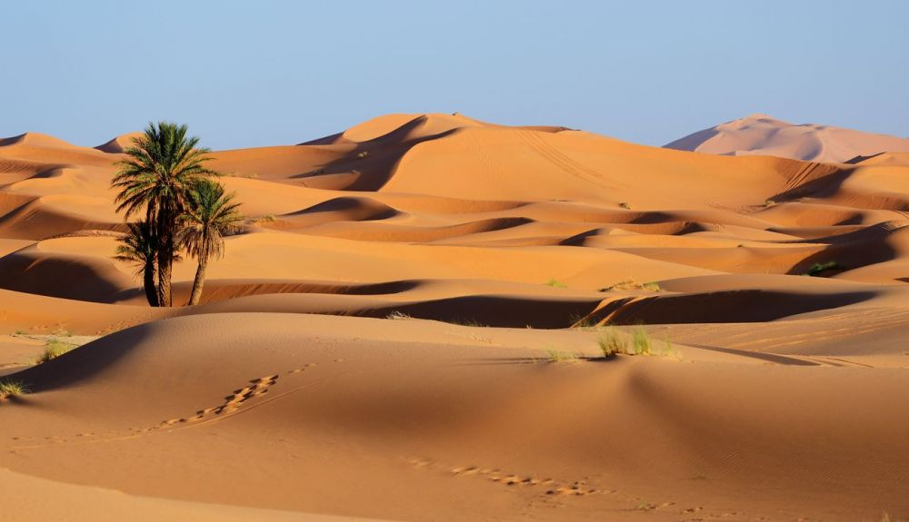 Dunas en el desierto del Sáhara Dunas en el desierto del Sáhara