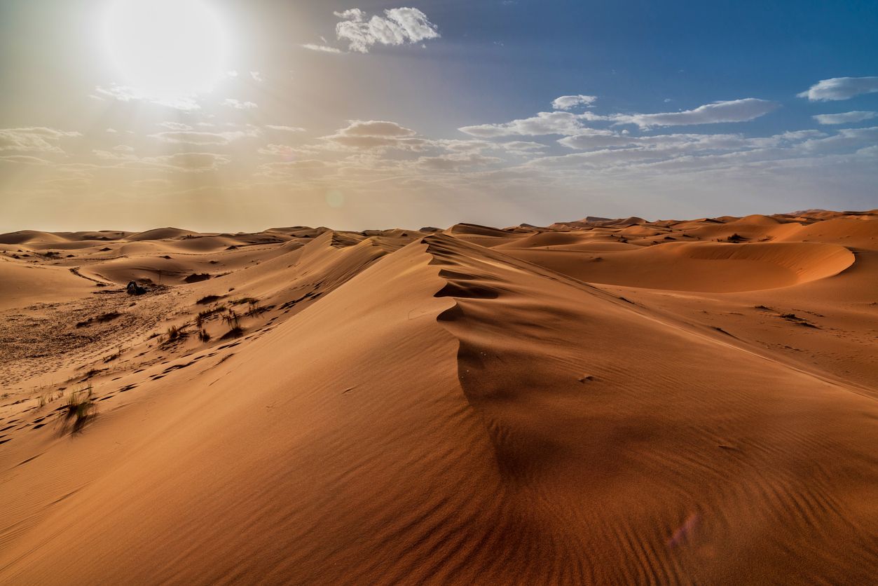 El Sáhara es uno de los desiertos más grandes del mundo.