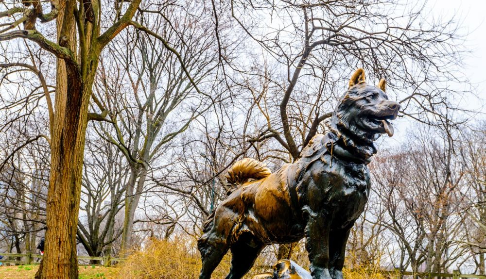 Monumento de Balto en Central Park. Monumento de Balto en Central Park.