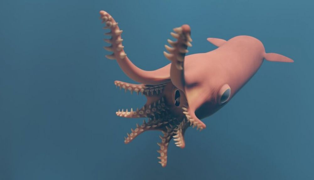 Reconstrucción hipotética de Vampyronassa Rhodanica. Reconstrucción hipotética de Vampyronassa Rhodanica.