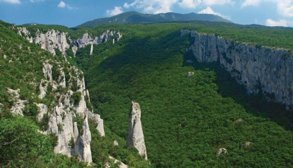 Vela draga es el fenómeno más interesante de la península de Istria.