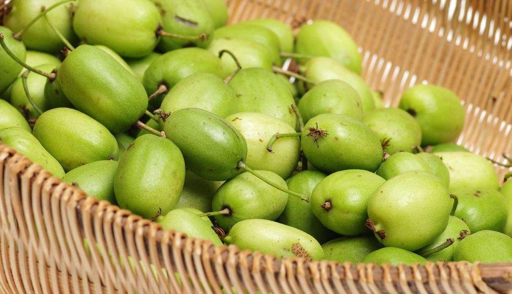 Lo más llamativo del kiwi enano es su piel lisa, fina, suave y comestible, habitualmente de color verde.