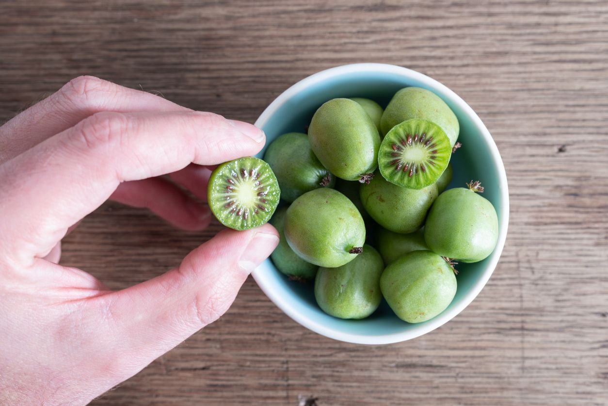 Los kiwis enanos son frutos muy atractivos.