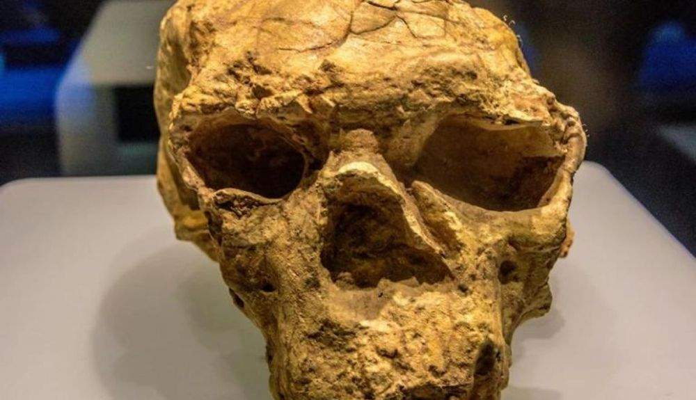 Los cráneos de Yunxian 1 y 2 se distorsionaron después de milenios bajo tierra.