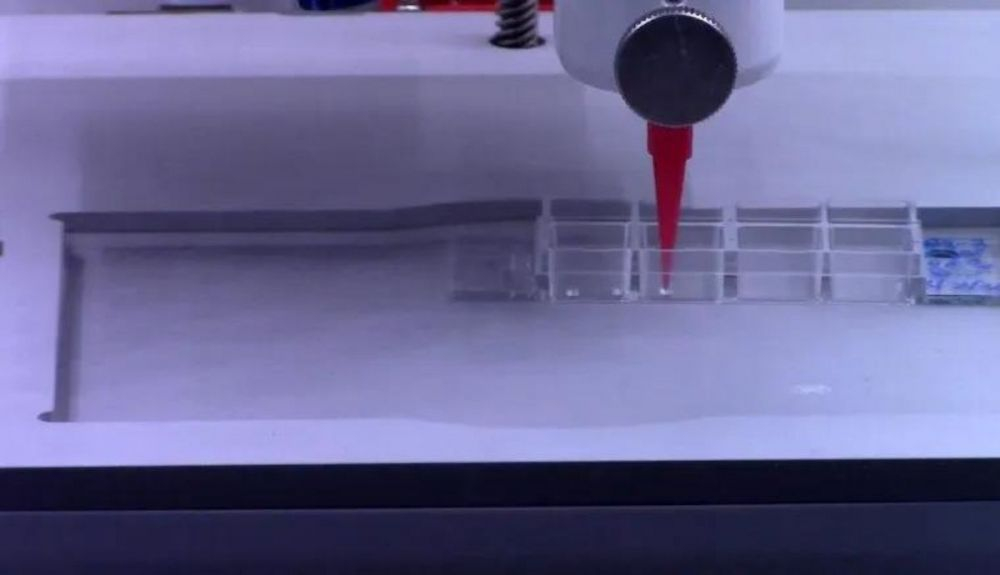 Las células vegetales se bioimprimen con una impresora 3D que tiene algunos ajustes necesarios. Las células vegetales se bioimprimen con una impresora 3D que tiene algunos ajustes necesarios.