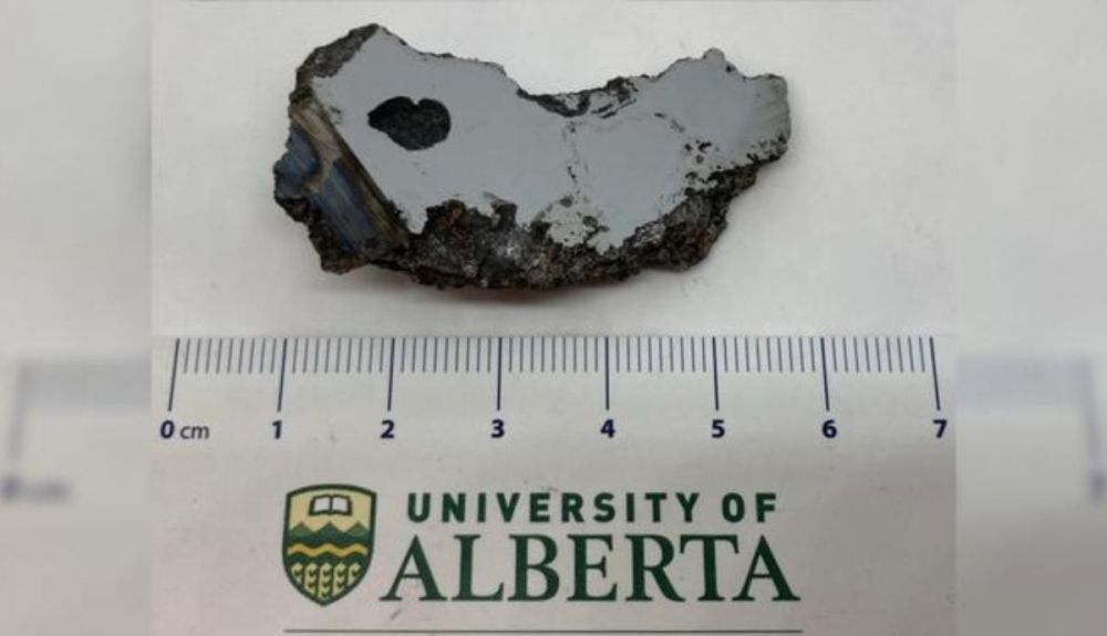 Una imagen del meteorito. Fotografía cortesía de la colección de meteoritos de la Universidad de Alberta. Una imagen del meteorito. Fotografía cortesía de la colección de meteoritos de la Universidad de Alberta.