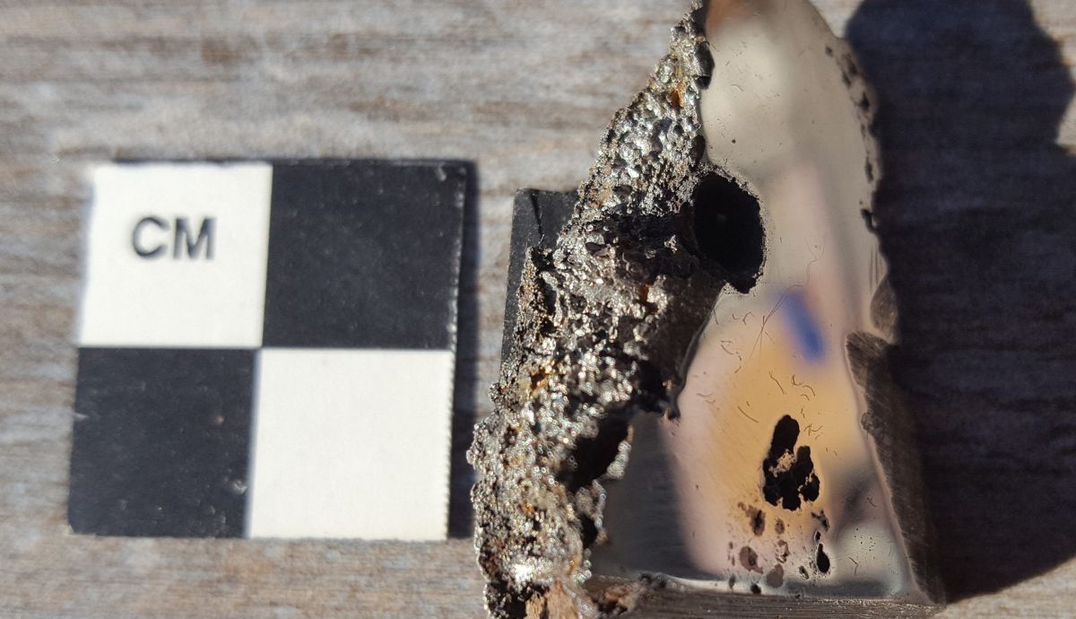 Una muestra del meteorito El Ali, que se encuentra ahora en la colección de la UCLA.