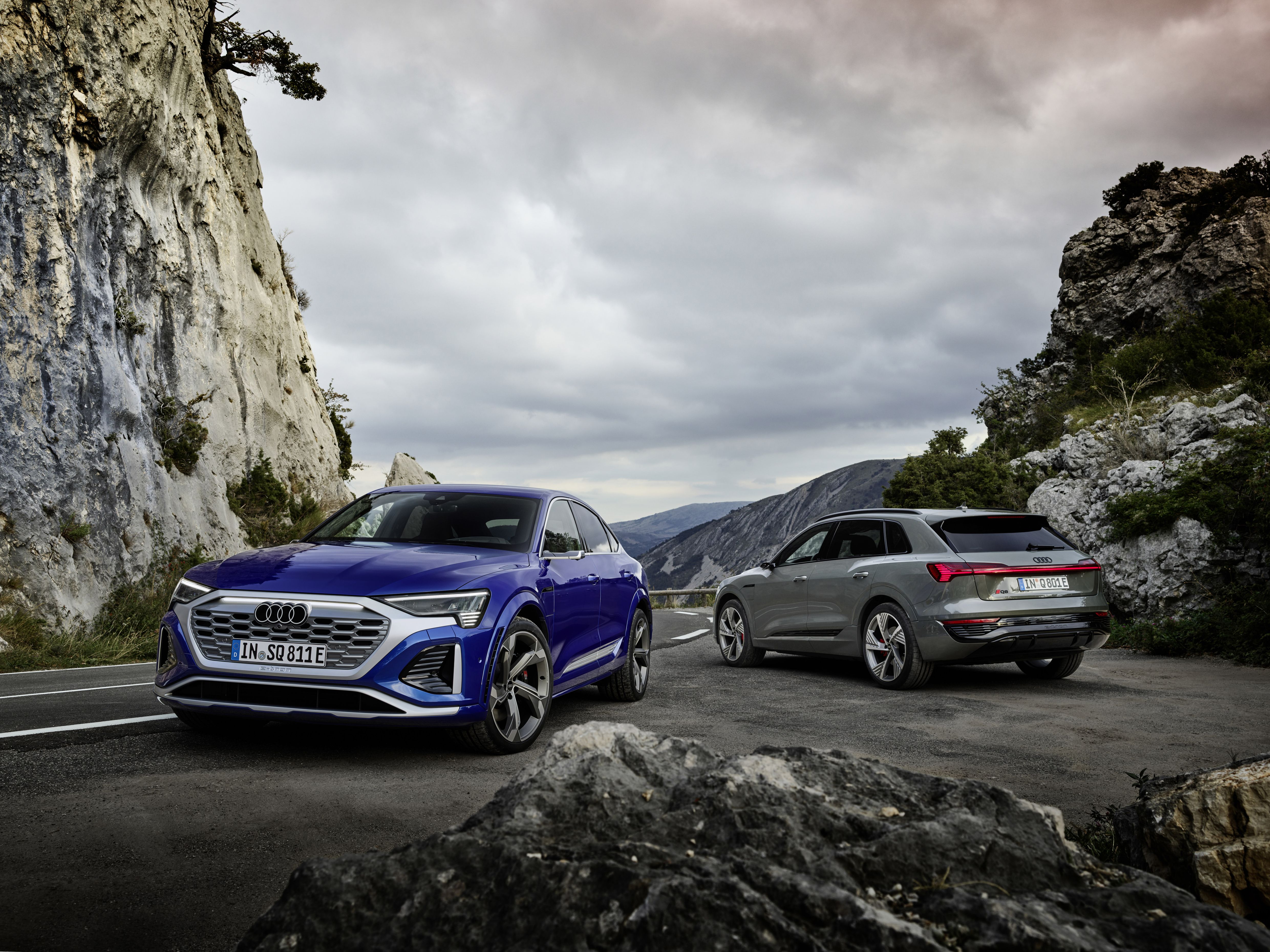 Audi Q8 e tron 2023 