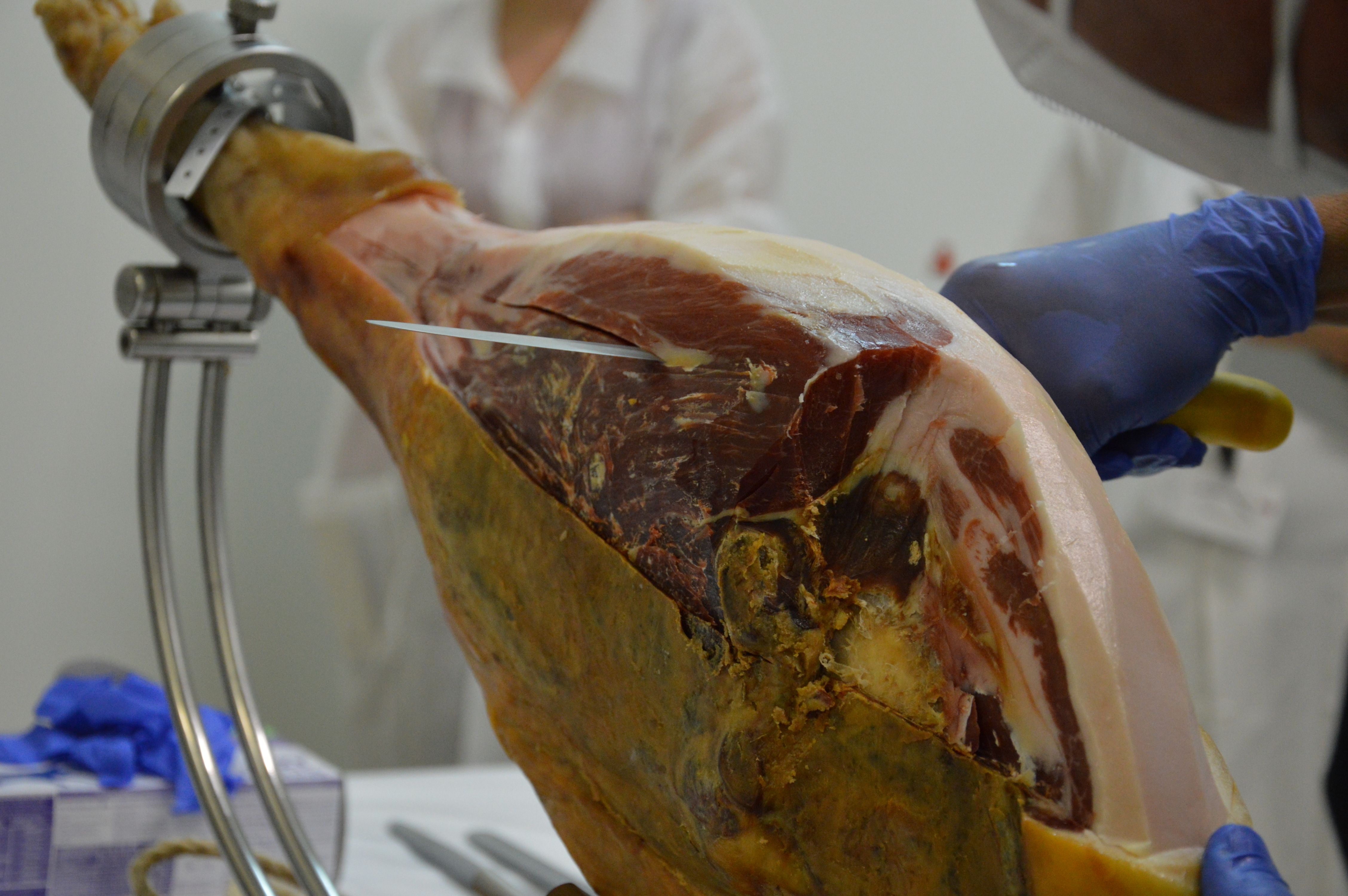 La alimentación del cerdo condiciona cómo será el jamón.