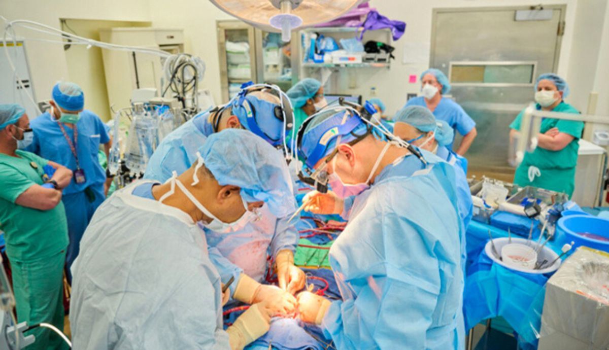 En julio, un equipo médico trasplantó un corazón de cerdo a un paciente con muerte cerebral.