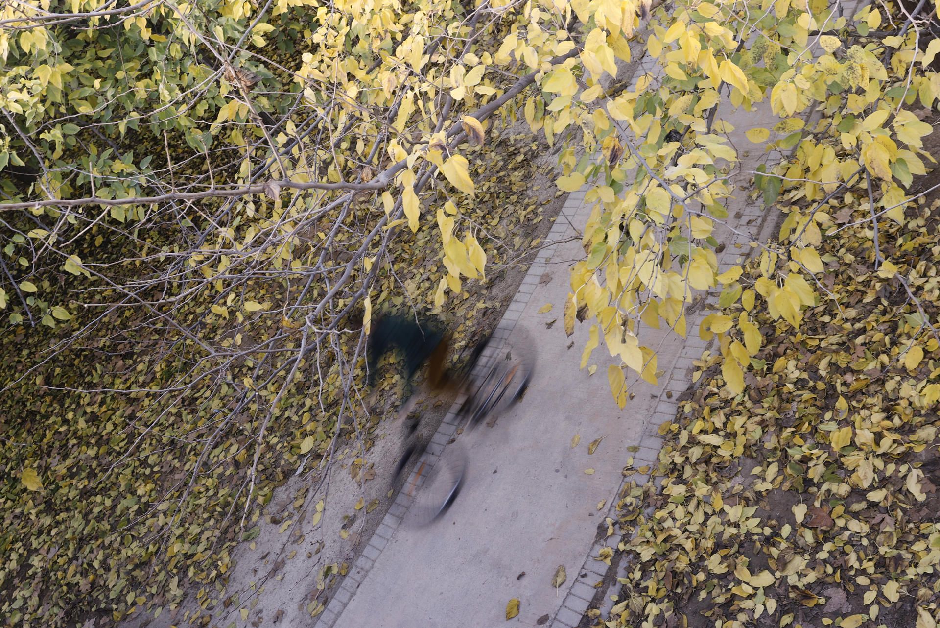 En la imagen de archivo, un ciclista hace ejercicio en el Jardín del Turia.